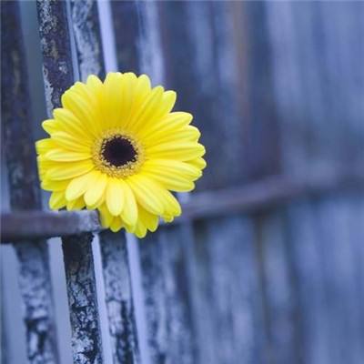 美方向伊朗提出和谈方案！伊朗任命最高国家安全委员会新秘书！国际油价直线跳水！LPG期价大跌超6%