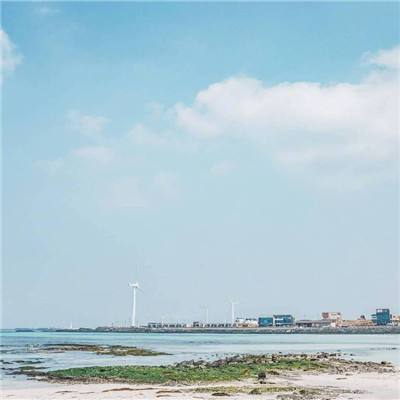 韩媒：文在寅将加入特金会 共同宣布朝鲜战争结束